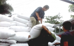 10 tỉnh xin hỗ trợ hơn 9.600 tấn gạo dịp Tết Nguyên đán